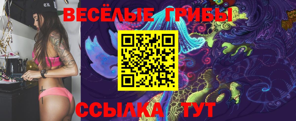 Великий Устюг  Галлюциногенные грибы Psilocybine cubensis  Вход с VPN  Псилоцибиновые грибы прущие грибы 