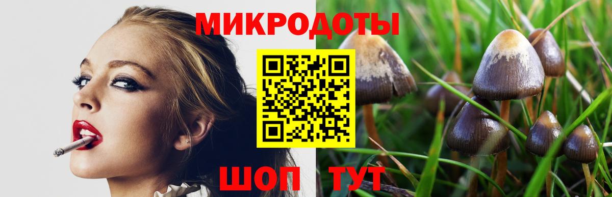 Галлюциногенные грибы GOLDEN TEACHER Великий Устюг